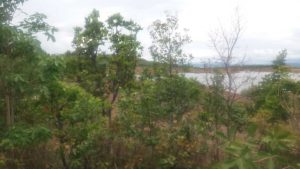 area-camping-03